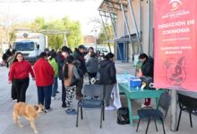 Operativo de desparasitación y castración de mascotas se realizó en Campo Verde