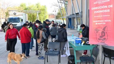 Operativo de desparasitación y castración de mascotas se realizó en Campo Verde