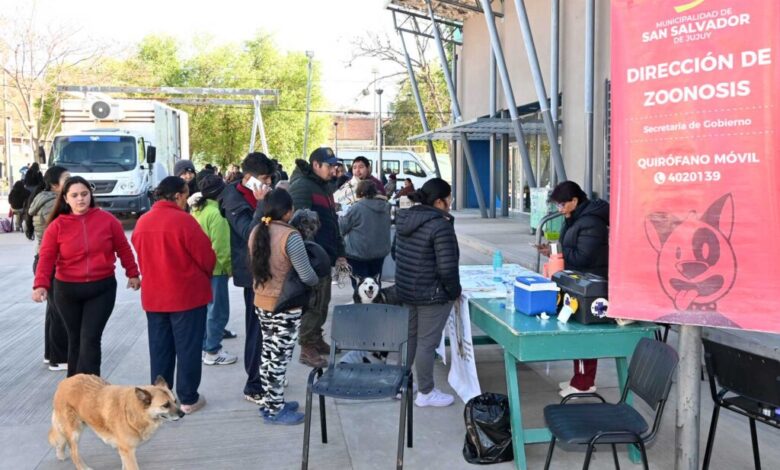 Operativo de desparasitación y castración de mascotas se realizó en Campo Verde