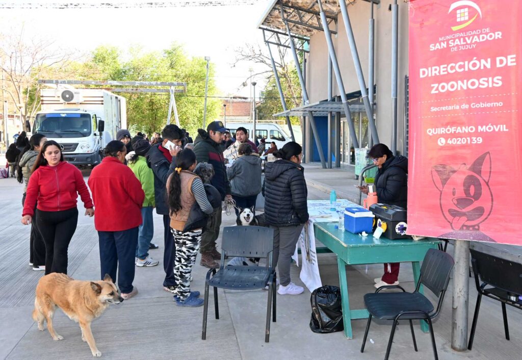 Operativo de desparasitación y castración de mascotas se realizó en Campo Verde