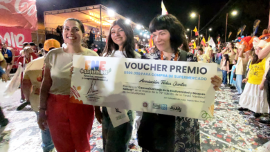 Carrozas ambientales. Escuela de Comercio N° 2 y Todos Juntos las ganadoras