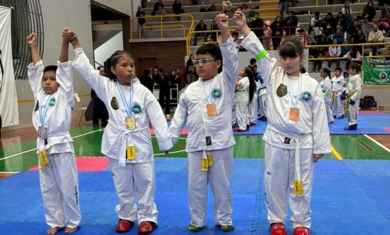 Pasó con éxito la décima edición del Torneo Provincial Pasó con éxito la décima edición del Torneo Provincial