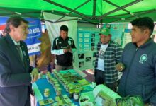 Sadir participó de la Manka Fiesta en La Quiaca y ratificó el impulso a la Zona Franca