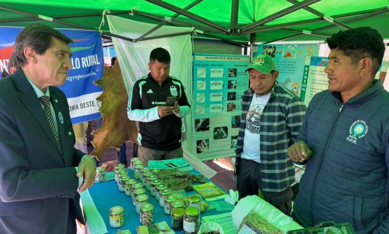 Sadir participó de la Manka Fiesta en La Quiaca y ratificó el impulso a la Zona Franca